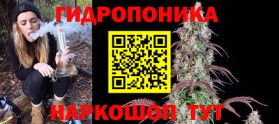 таблы Новозыбков