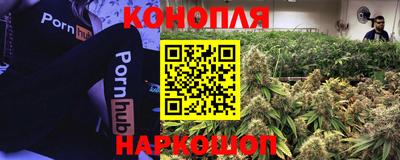 таблы Новозыбков