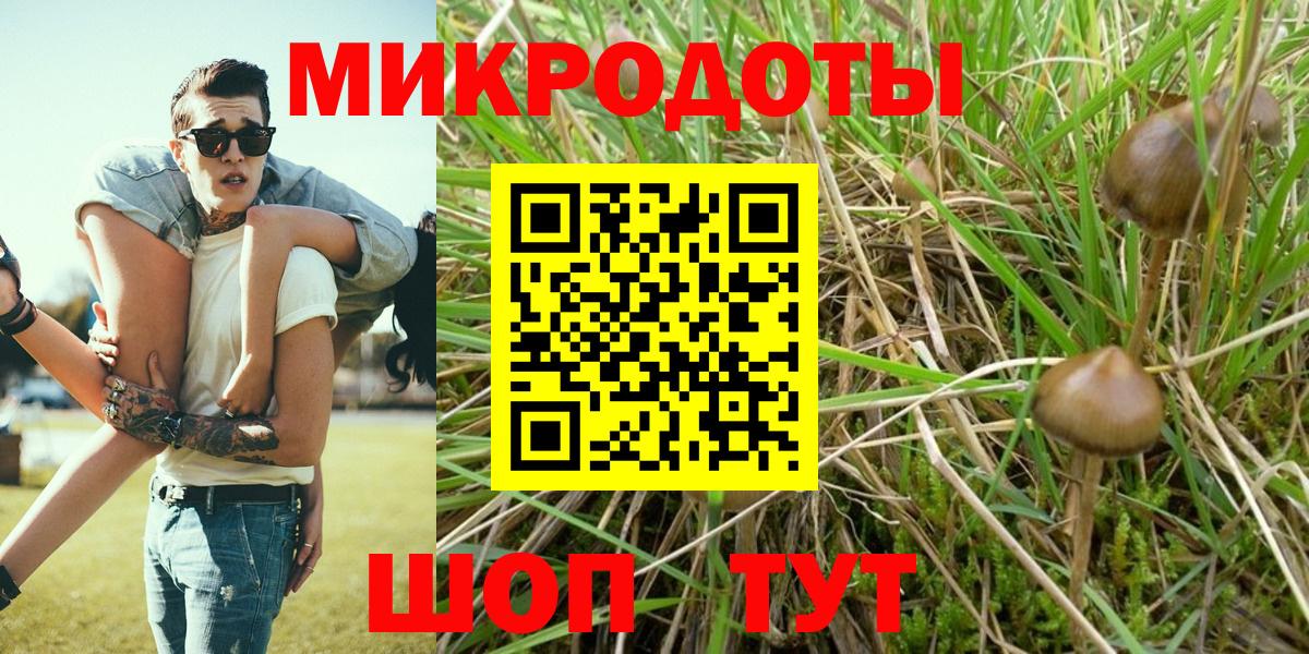 Рассказово  даркнет сайт  Вход с VPN  Псилоцибиновые грибы Psilocybe 